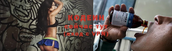 дживик Переславль-Залесский