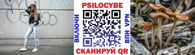 Галлюциногенные грибы Psilocybine cubensis  Красавино 